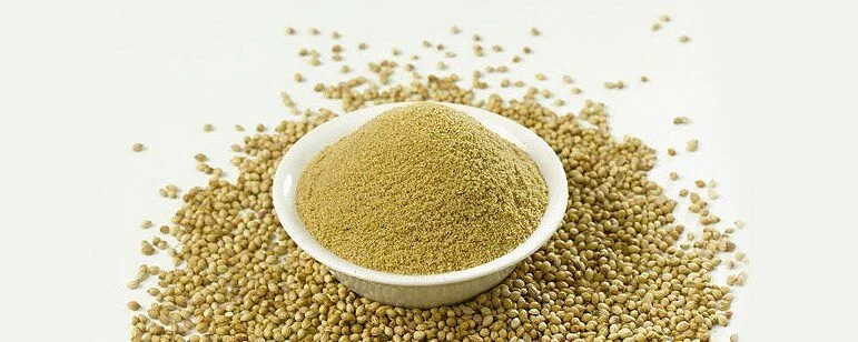 Coriander Powder